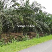 Industrial land for Sale
