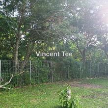 Agriculture land for Sale