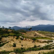 Agriculture land for Sale