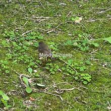 Residential land for Sale