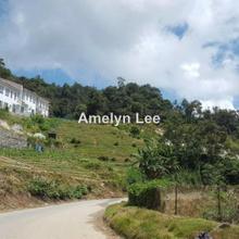 Agriculture land for Sale