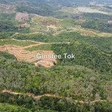 Agriculture land for Sale