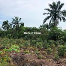 Agriculture land for Sale