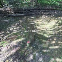 Agriculture land for Sale