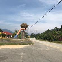 Agriculture land for Sale