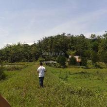 Rasa 5.77acre Fh  cheap agri  land for 880k 