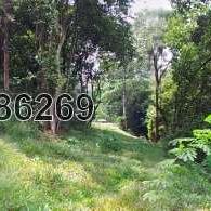 Residential land for Sale