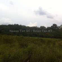 Agriculture land for sale able converstion commercial light industrial