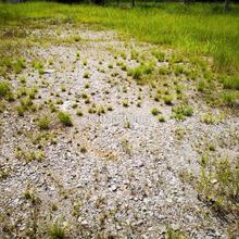 Bungalow land for Sale