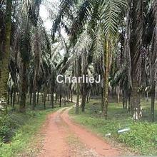 Industrial land for Sale