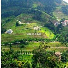 Bungalow land for Sale