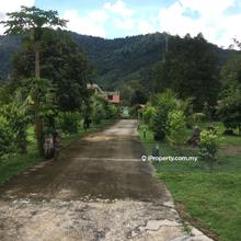 Agriculture land for Sale