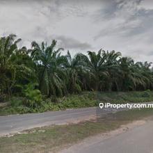 160 acres, Kuala Krau, Temerloh