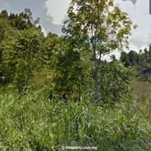 Agriculture land for Sale