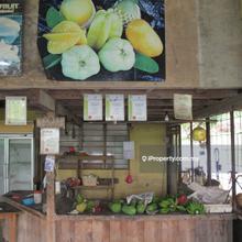 Agriculture land for Sale