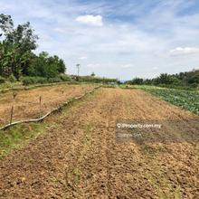 Semenyih Flat Agri land at for rent