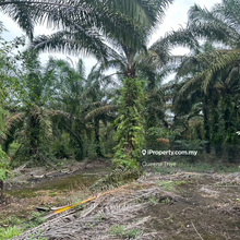Pekan Nenas Agriculture Land Sale Johor Pekan Nanas 