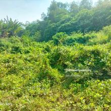 Pahang, Jerantut, Agricultural Land For Sale 