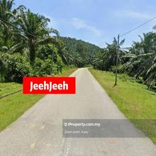 10y Oil Plam Land for Sale / Baling Kedah 