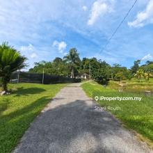 Tilapia Aquaculture Pond Land for rent at Jalan Hulu Yam Bharu 