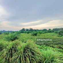 Jeram batu pekan nanas oil palm for sale