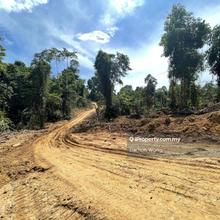 Agriculture land for Sale