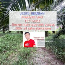 Bemban Utama Jasin Freehold Land For Sale with access road