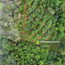 Dusun  durian 4 ekar ulu jelebu kuala klawang ada anak air 
