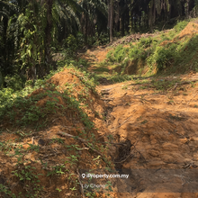 For Sale Agriculture land 