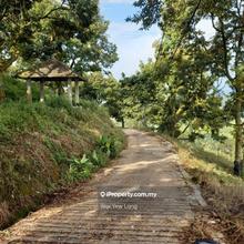 Agriculture land with Rm14,000 monthly Telecom antenna rental income