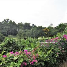 Tropicana Land 24000sf Huge near St Joseph, Gizamall Golfclub Curve