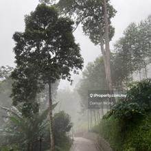 Agriculture home stay resort land 