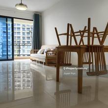 Ataraxia Bay, Forest City