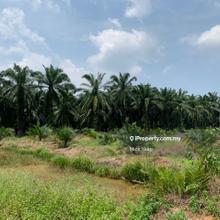 Industrial land for Sale