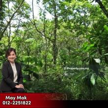 Freehold Land 122 acres for Development at Jasin Bemban for Sale