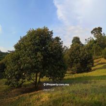Hulu Yam Agricultural Land for Sale