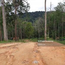 Agriculture land for Sale