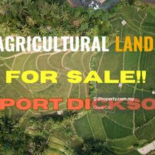Port Dickson, Telok Kemang- 5 Acres Agriculture Land For Sale 