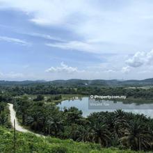 4.33 Acre Freehold Durian Farm Good View Bestari Jaya Kuala Selangor
