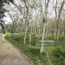 2ac Rubber Tree land for sales