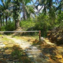 1st Lot Facing Main Road  Jalan Ibok - Air Jernih