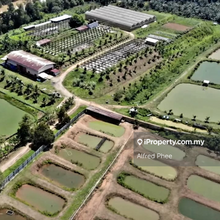 Iskandar puteri, Agriculture land, Johor Eco Tourism Farm, for sale