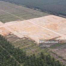 Flat Land With Industrial Title That Ready To Build 