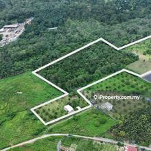 Freehold Non Bumi orchard land Batang Kali