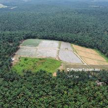 Agriculture land for Sale