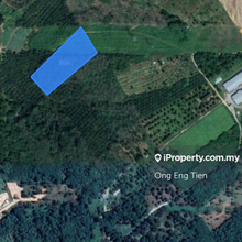 2.75 Acres of Agricultural Land Kalumpang Tanjung Malim Selangor