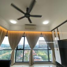 Cyperus Tropicana Garden unit for sale