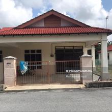 Semid ketapang mualim murah 