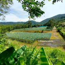 Agriculture Land Zoning For Commercial in Broga Semenyih Ulu Langat
