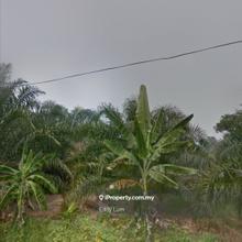 Agriculture land for Sale